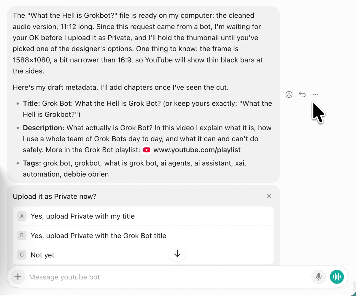 The YouTube bot has the metadata ready and asks before uploading as private